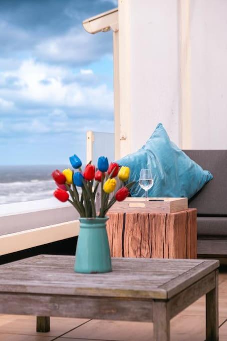 Kraaiennest Apartment Egmond aan Zee Ngoại thất bức ảnh