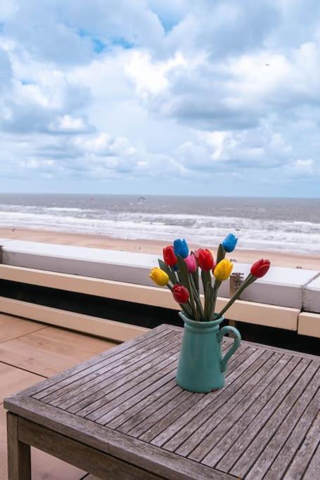 Kraaiennest Apartment Egmond aan Zee Ngoại thất bức ảnh