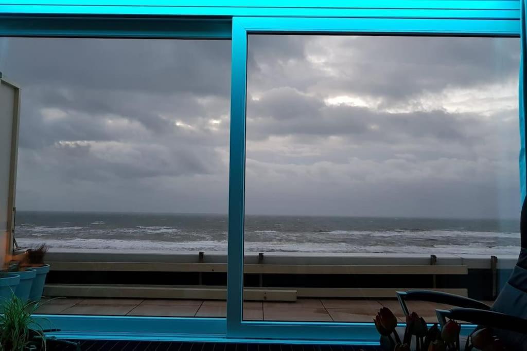 Kraaiennest Apartment Egmond aan Zee Ngoại thất bức ảnh