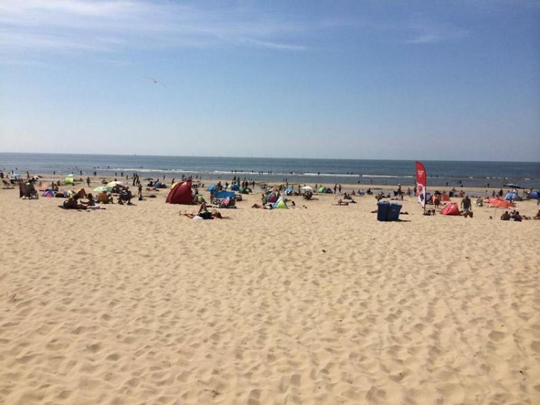 Kraaiennest Apartment Egmond aan Zee Ngoại thất bức ảnh